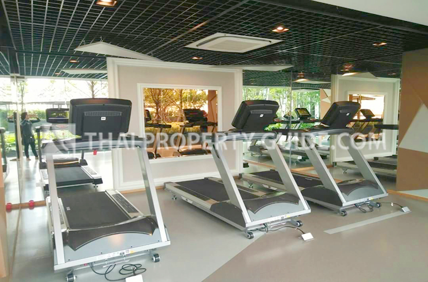 Condominium in Sukhumvit 