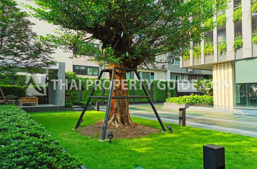 Condominium in Sukhumvit 