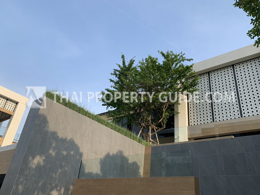 House with Shared Pool in Rama 3 